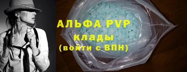 индика Баксан