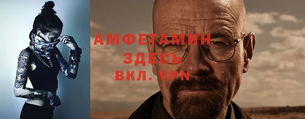 сатива Горняк