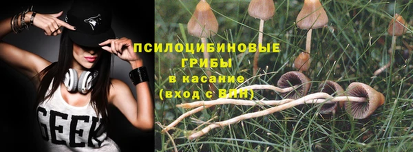 индика Баксан