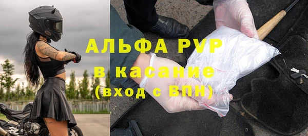 индика Баксан