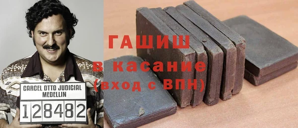 шишки Белокуриха