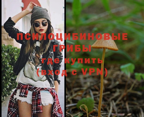 индика Баксан