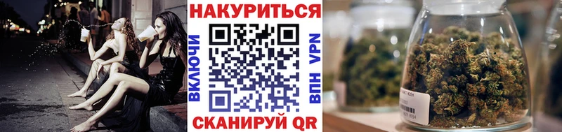Каннабис ГИДРОПОН  купить наркоту  Рудня 